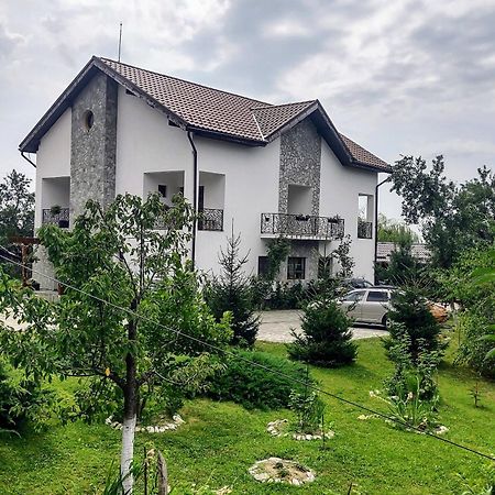 Pensiunea Codruta Cărpinişu Exterior photo