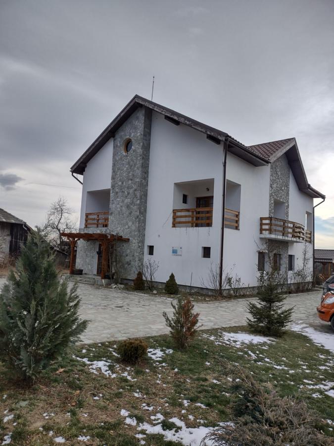Pensiunea Codruta Cărpinişu Exterior photo
