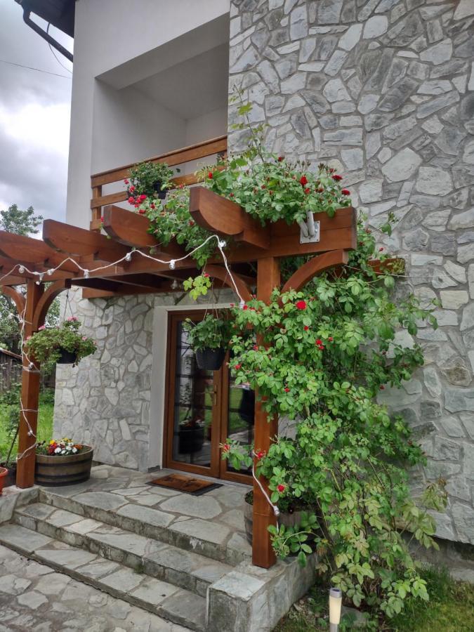 Pensiunea Codruta Cărpinişu Exterior photo