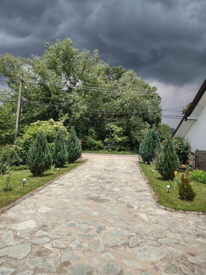 Pensiunea Codruta Cărpinişu Exterior photo