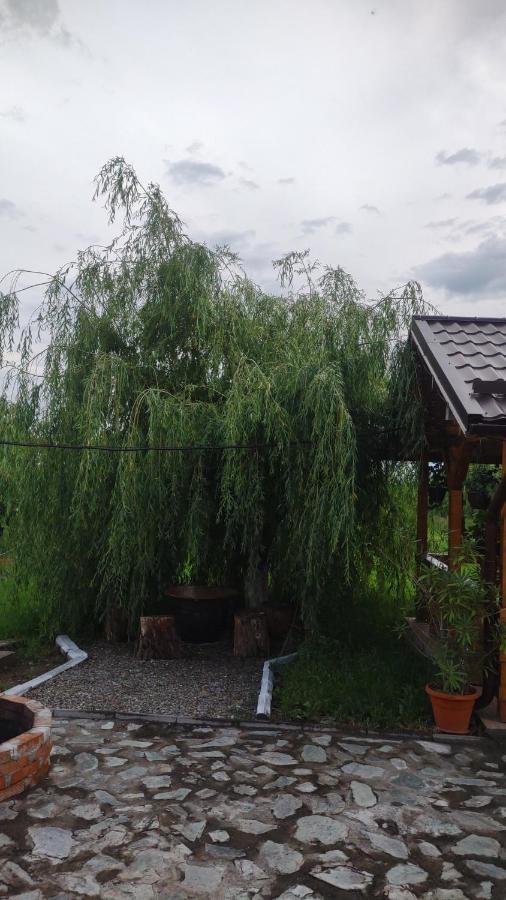 Pensiunea Codruta Cărpinişu Exterior photo
