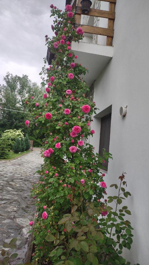 Pensiunea Codruta Cărpinişu Exterior photo