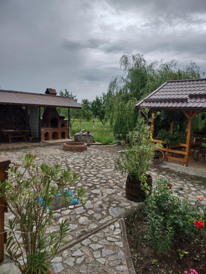 Pensiunea Codruta Cărpinişu Exterior photo
