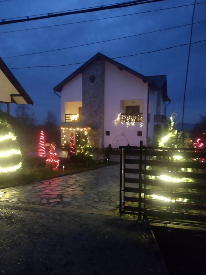 Pensiunea Codruta Cărpinişu Exterior photo