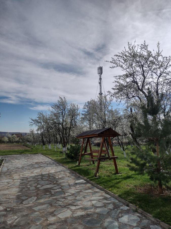Pensiunea Codruta Cărpinişu Exterior photo