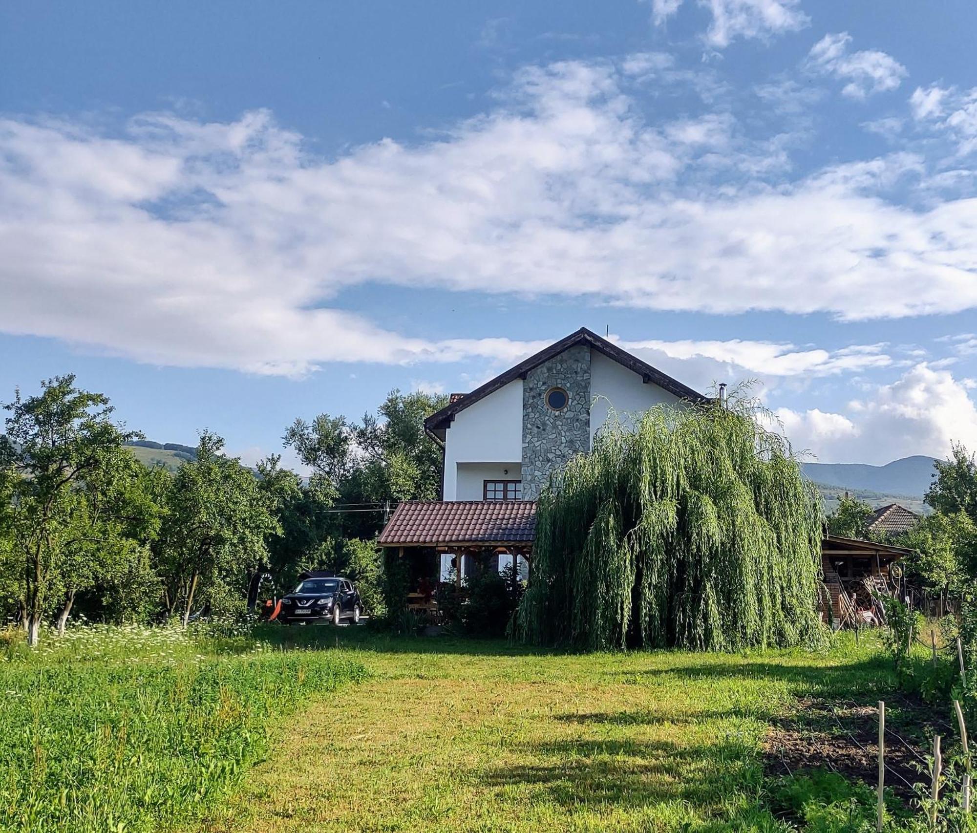 Pensiunea Codruta Cărpinişu Exterior photo
