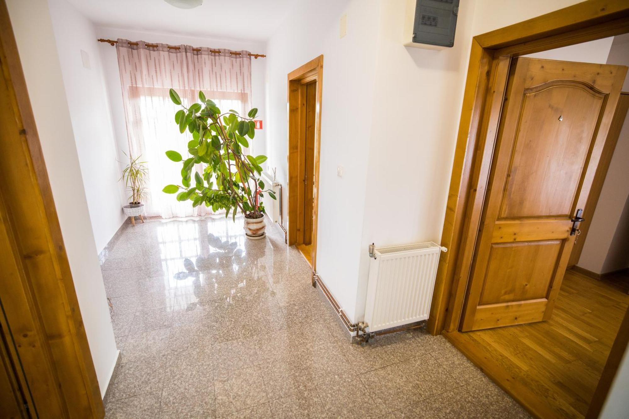Pensiunea Codruta Cărpinişu Exterior photo