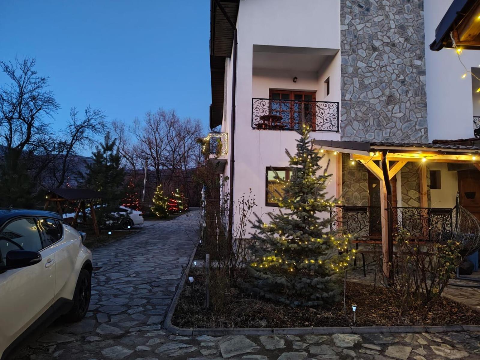 Pensiunea Codruta Cărpinişu Exterior photo