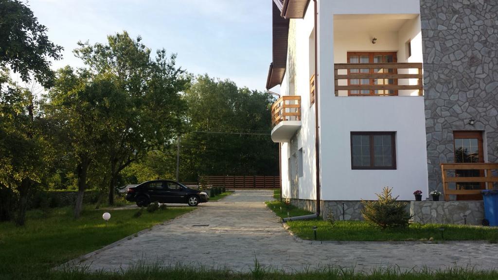 Pensiunea Codruta Cărpinişu Exterior photo