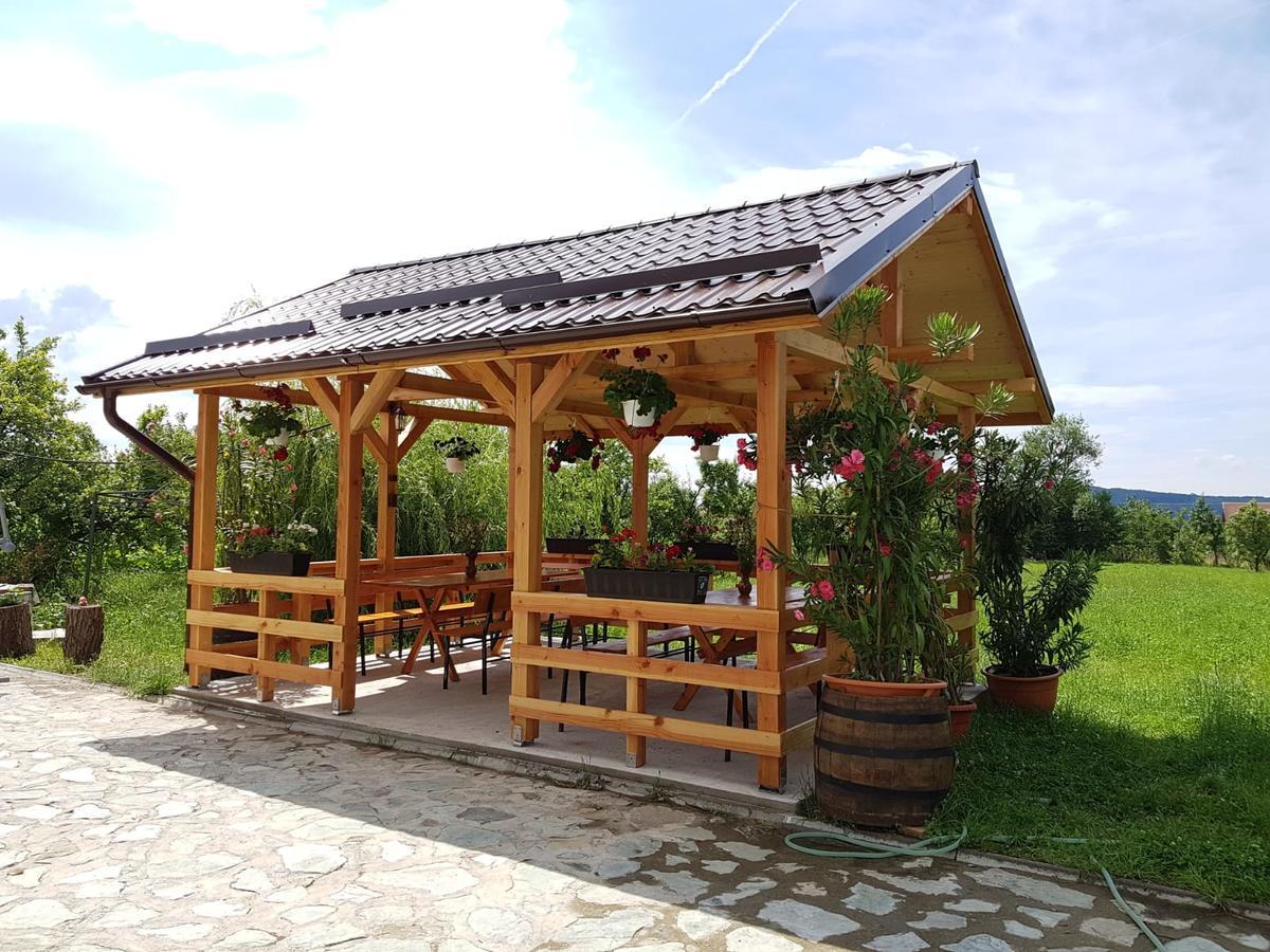 Pensiunea Codruta Cărpinişu Exterior photo