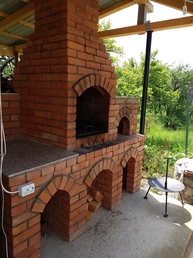 Pensiunea Codruta Cărpinişu Exterior photo
